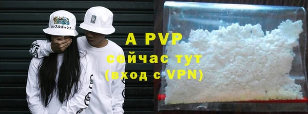 каннабис Богданович