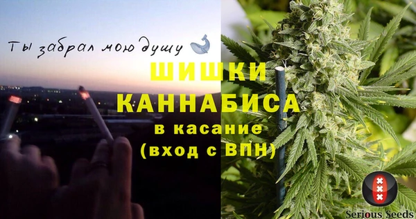 каннабис Богданович