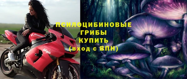 каннабис Богданович