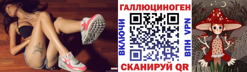 Галлюциногенные грибы GOLDEN TEACHER  Купить закладки  Ермолино 